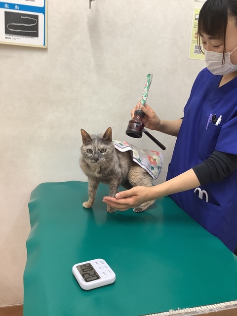 FD23C55A-4AA1-40D6-B23A-9E9A0423704C.jpeg