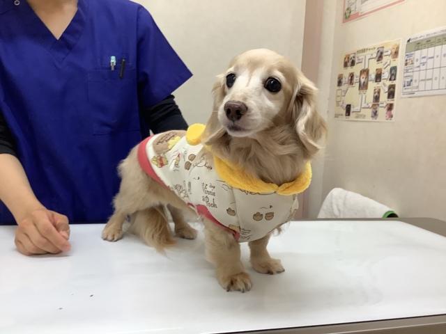 13F0D8DF-A45A-475F-B740-94AE58ABC252.jpeg