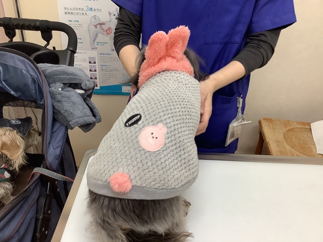 89BA9D79-7FE8-480E-B222-91E032780C8D.jpeg