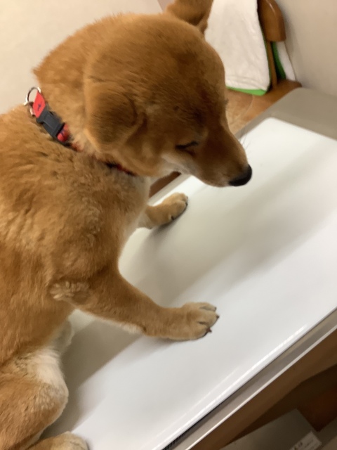 9BF00787-5D9F-4252-BC30-F5FFCD0831A7.jpeg